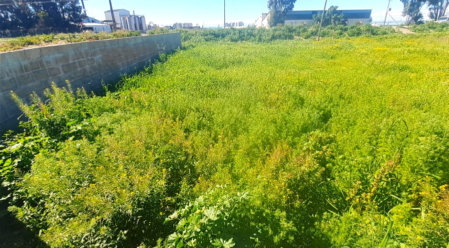 0 Bedroom Property for Sale in Harbour Lights Western Cape